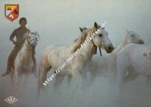 4913