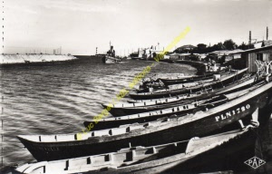 pap-00058