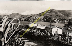 pap-00221
