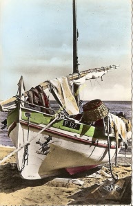 pap-00250 (copier)