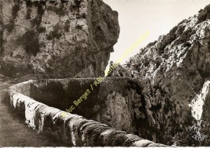 pap-02143 (copier)