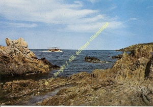 pap-02290 (copier)
