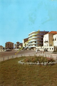 pap-02919