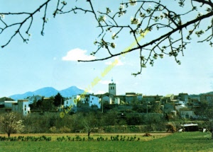 pap-03475