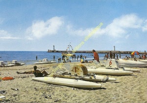 pap-2650 (taguee)