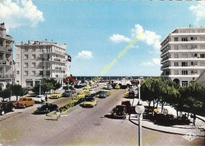 pap495_delcampe (copier) (taguee)