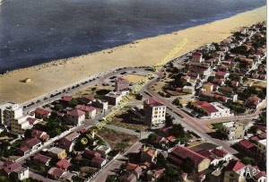 pap529_delcampe (copier) (taguee)